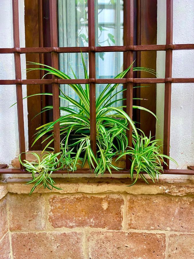 Corduba Suite Cordoba Luaran gambar